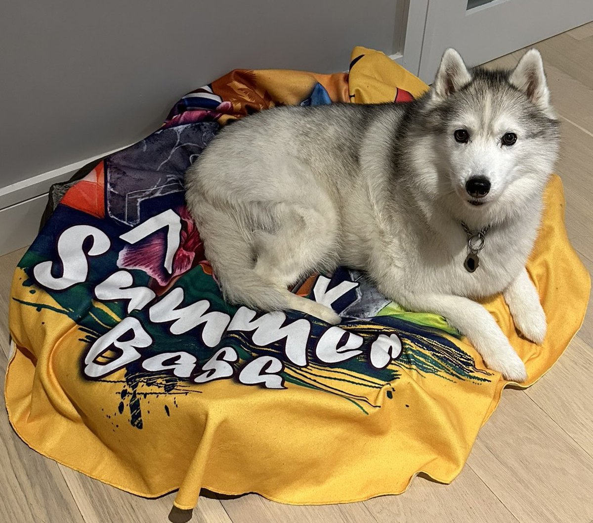 SyntacYT's tweet photo. For those asking, Miikaahs favourite event is summer bash #playark https://t.co/oWfuOlSdyR