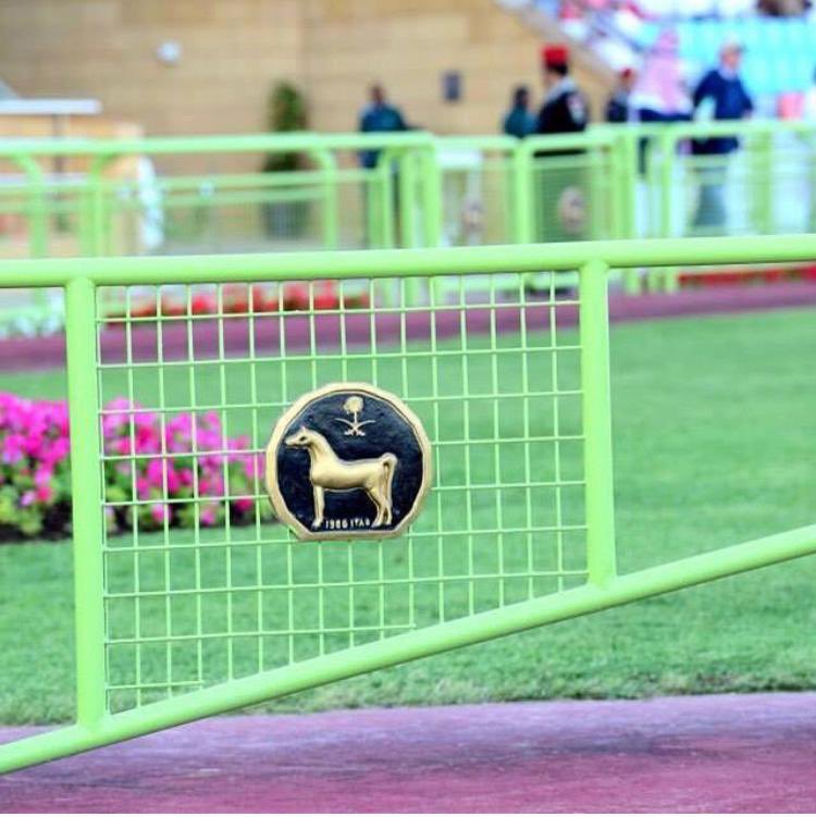 SultanAlatawi9's tweet photo. تشرفت اليوم بأن أكون احد فرسان الاستديو التحليلي في أمسية كأسي سمو سيدي ولي العهد ،، واتمنى اني قدمت كل مايليق بذائقة المتلقي والوسط الفروسي  وان نكون قد وفقنا بنقل الحدث. 
نجدد المباركه لابطال هالامسية والقادم أجمل بإذن الله 🐎🏆🐎 https://t.co/DZKHwWLIot