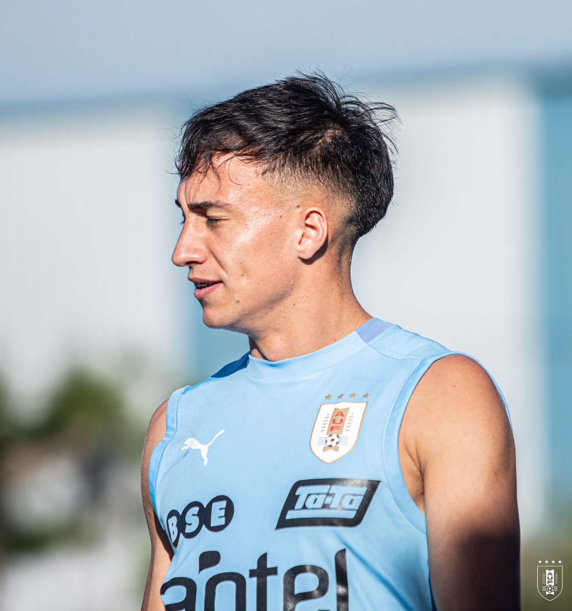 Franco_Gonzaleez tweet media