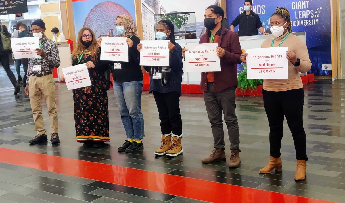 ❗Happening now - Indigenous Peoples rights are being ignored or sidelined at #COP15 negotiations. Solidarity with Indigenous Peoples and Local Communities fighting for a just GBF - "Indigenous Rights is a red line at COP15" 📢

#IndigenousRights
#NoRightsNoConservation
