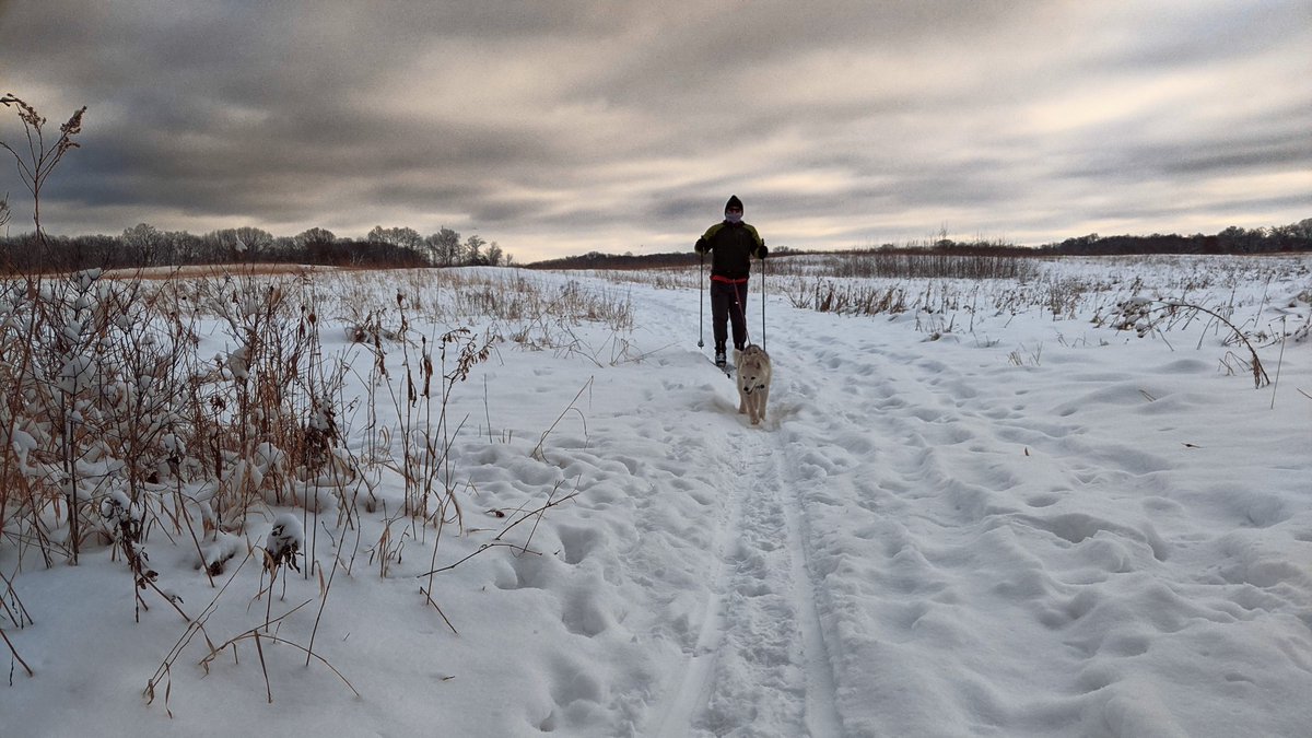 paws2trail's tweet photo. Skijoring success! Blazing our own tracks on a well trodden trail, but at least no hunting and no downed trees to contend with at Murphy Hanrehan park. https://t.co/wWybR1OEM4