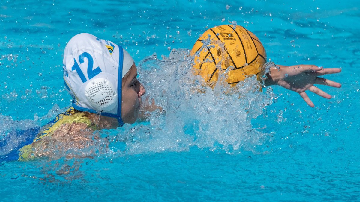 CD Natación Boadilla tweet media