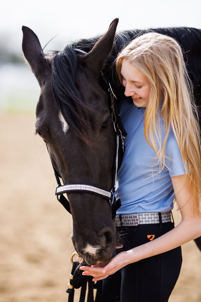 POV: It's sparkle season ✨❄️

 breeches.com/collections/al…