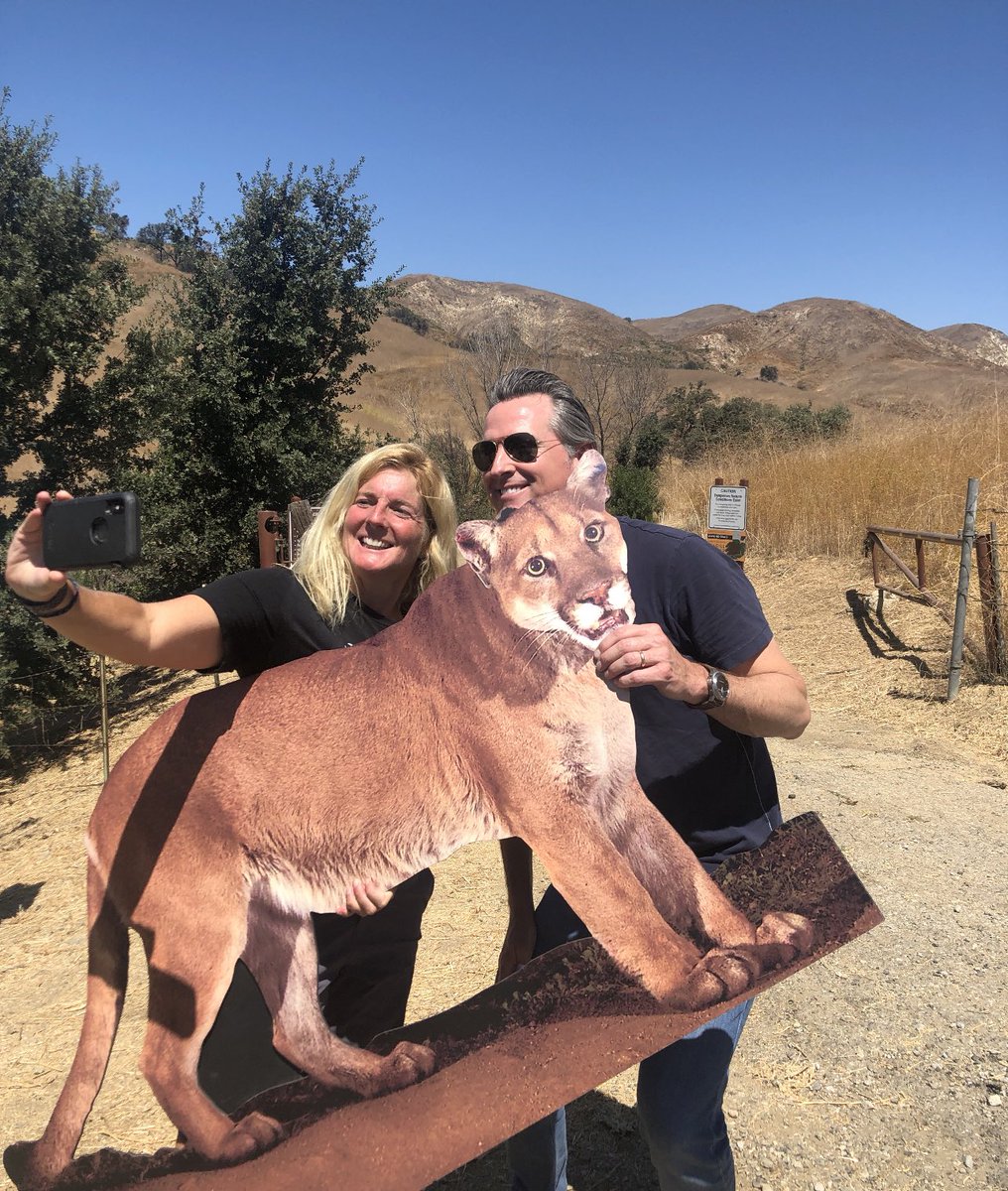 GavinNewsom's tweet photo. P-22 was an icon. His incredible journey helped inspire a new era of urban conservation, including the world’s largest wildlife crossing in CA. I grew up loving these cats. Thinking of my dad today who was a wildlife activist &amp; taught me about protecting these precious animals. https://t.co/lB43wDOFWC