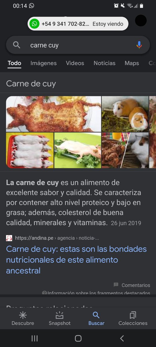 GalletaArg's tweet photo. @Cobratate a https://t.co/s66zgItTk0