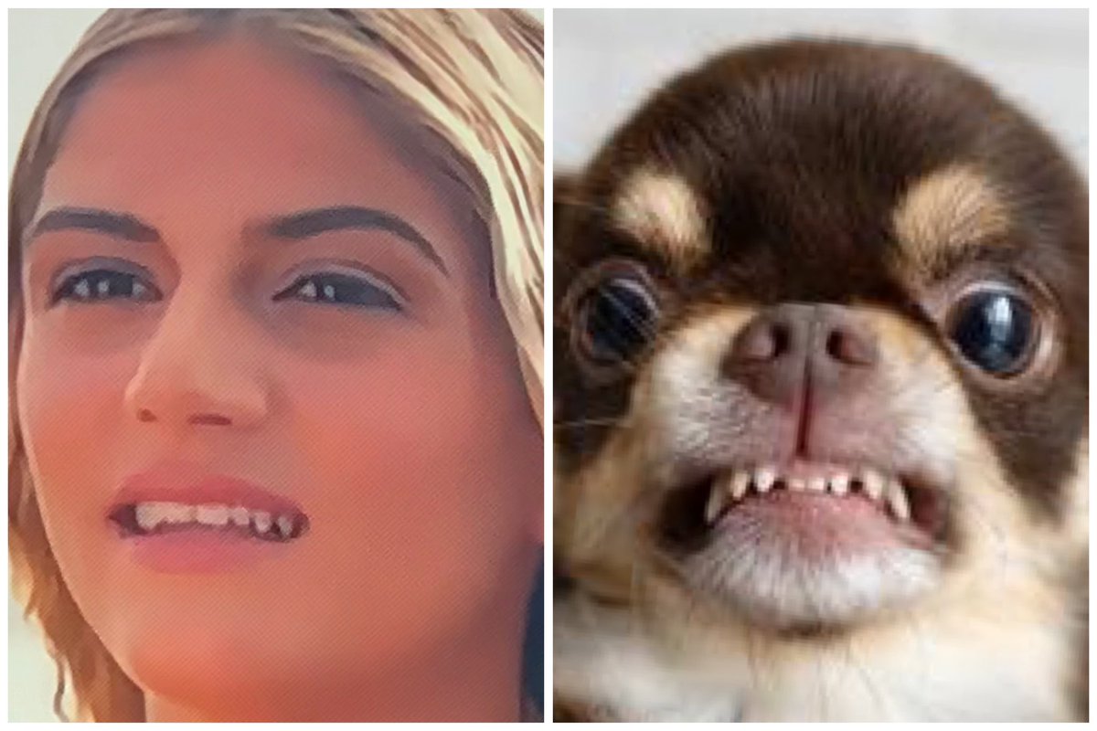 MathiasPogbaOff's tweet image. Pas de commentaire 

#MissFrance