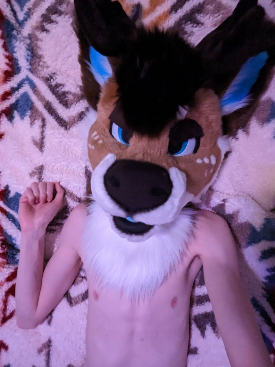 New deer on the block