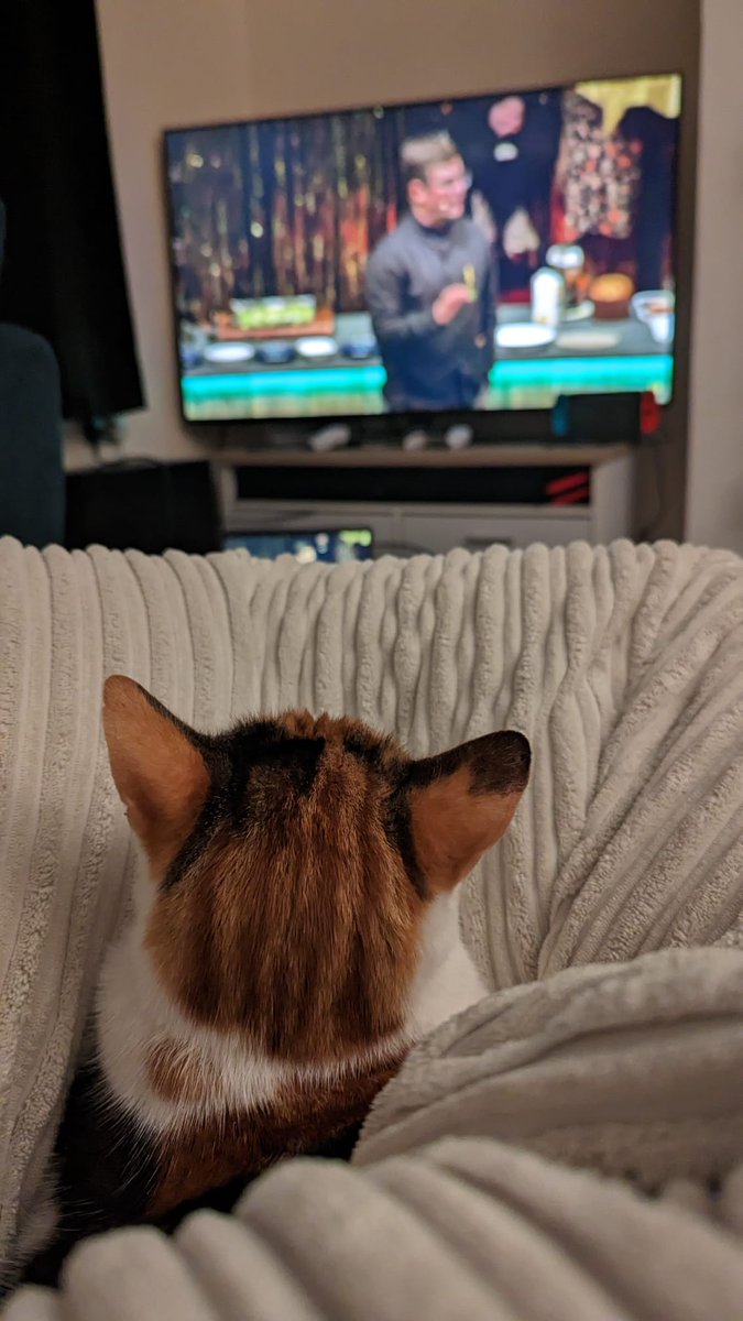 ScrambledAshton's tweet image. The whole gang is watching @sortedfood's Big Christmas Bash and are clearly captivated! #SortedLive