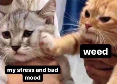 lapagedustoner's tweet image. 