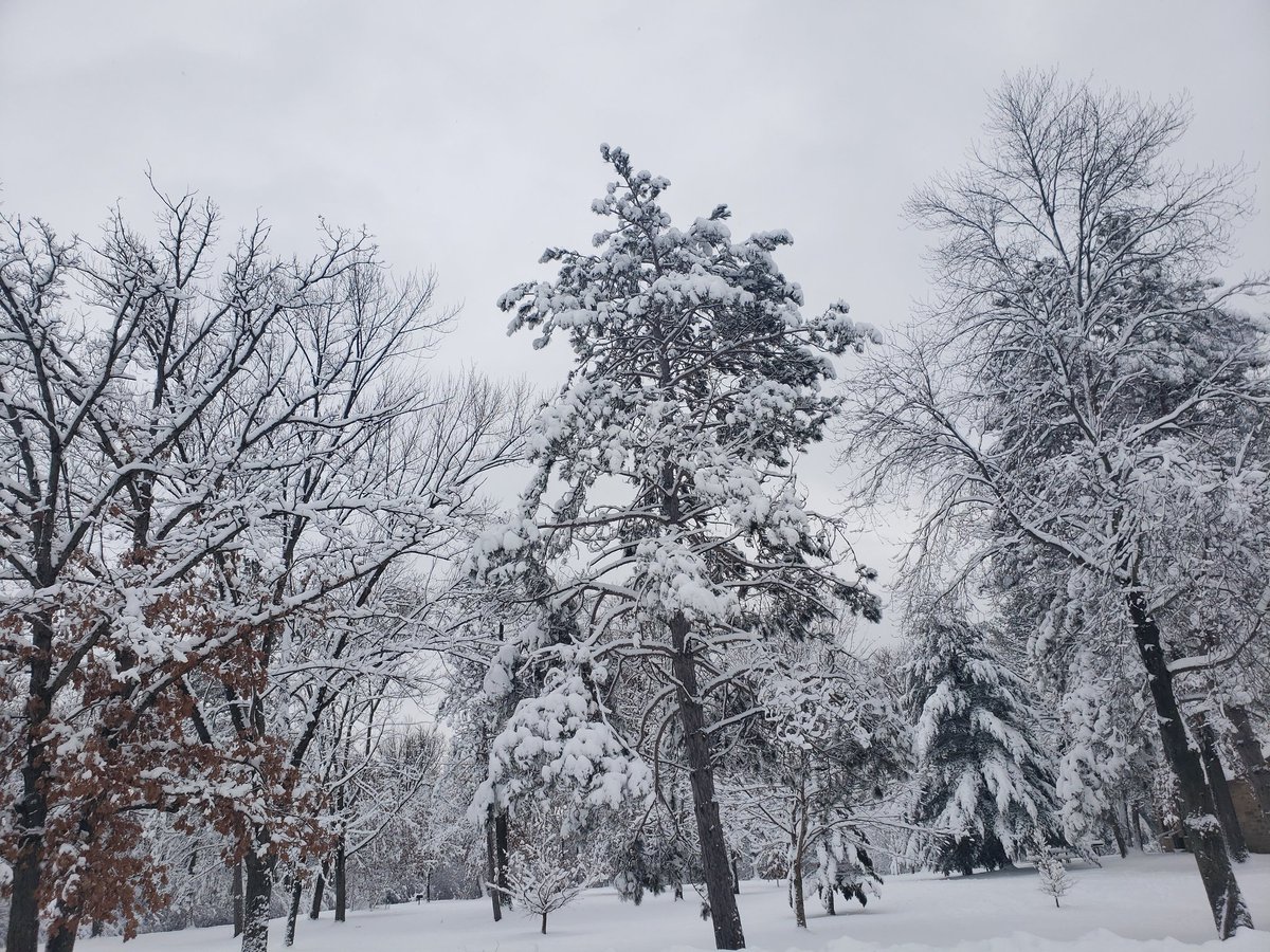 Snow!!!!