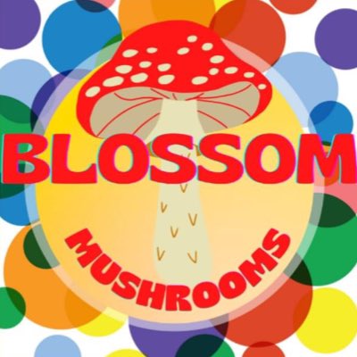 BlendingLlc's tweet photo. #NewProfilePic https://t.co/RvUBG6JI0J