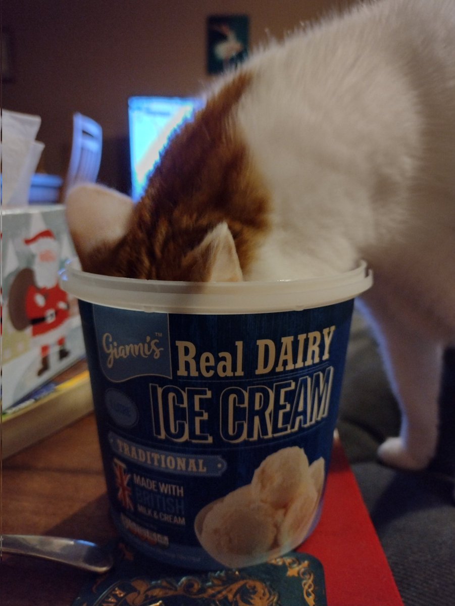 I'll have the next tub now, please. #Caturday #AlwaysHungry #TheCatsWeTweet