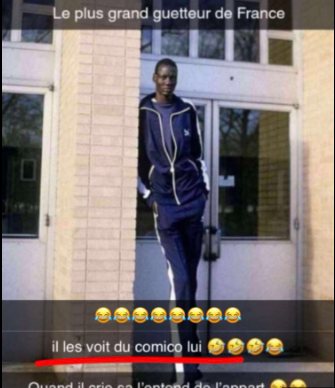 🐈‍⬛ tweet media