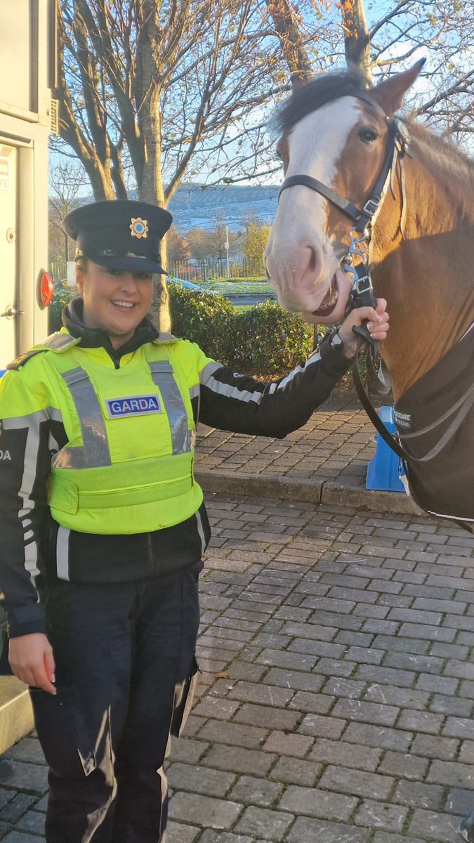 Garda Info on Twitter "The Garda Mounted Unit conducting high visibility patrols in the