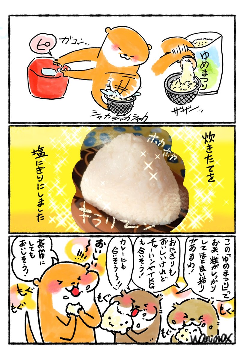 JAたかさき @ja_takasaki さまのプレゼント企画「高崎産新米ゆめまつり4キロ」に当選ました〜😭💕ありがとうございます!!

お手紙の他「塩おにぎりに合うレシピ」も同封されており、とても贅沢な詰め合わせです🍚✨

嬉しさのあまり、まずは1合炊いて塩おにぎりにして食べました🍙💕

#JAたかさき 