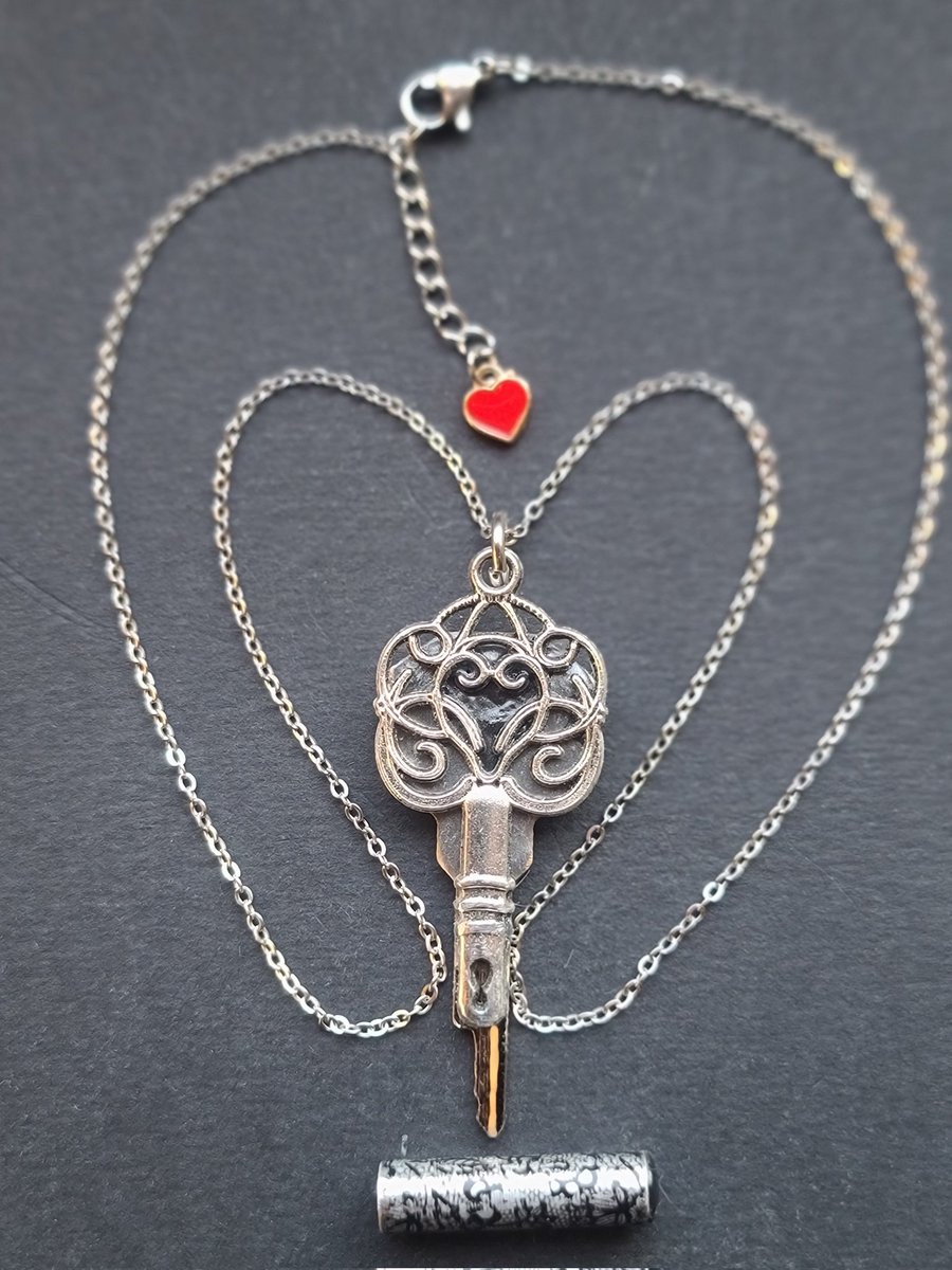 LockedinL's tweet photo. The last two orders were Mailed by Regular Post. All items need to be ordered by Monday and paid for Priority Mail to arrive by Christmas.
This is The Real Chastity Key Necklace with Security Key Case and The Two Women, Locked male Necklace. 
Holiday Sale for 7 more days! https://t.co/uqUUNB9sHZ