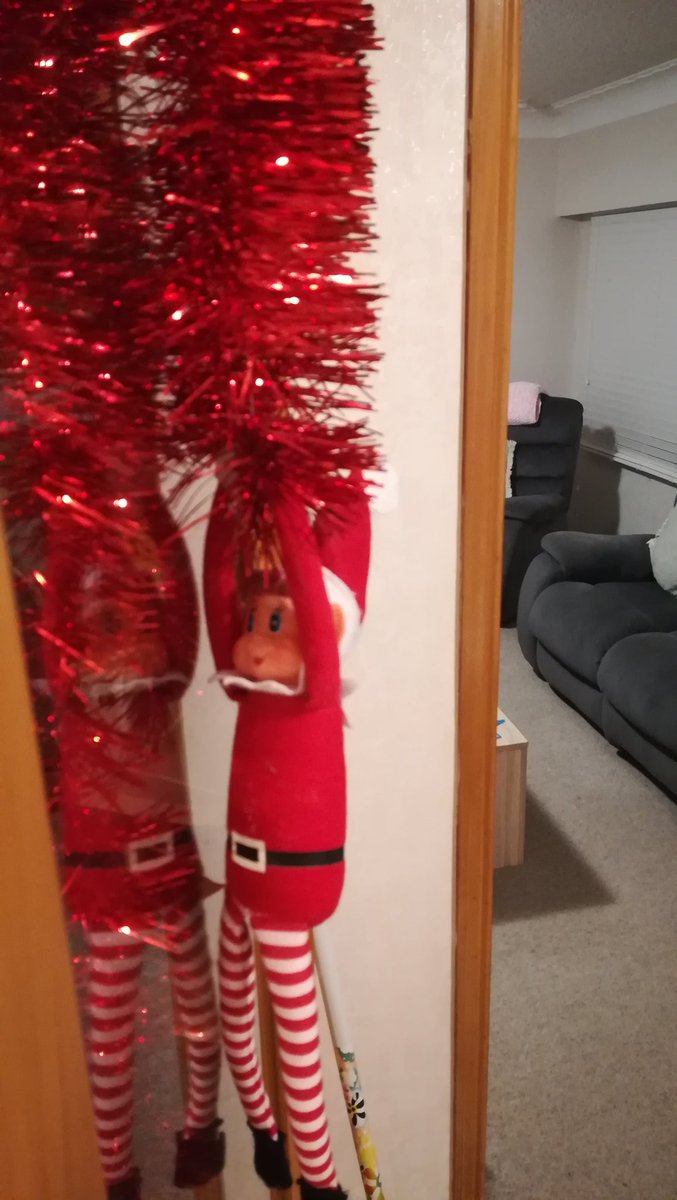 mikehartigan's tweet photo. Elf update, now hes got others involved in his escapades https://t.co/KD4d7nKLVN
