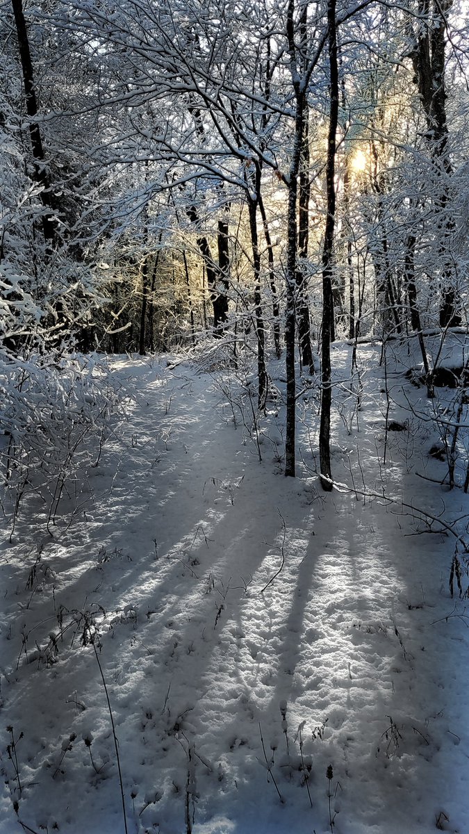 NorthrnLati2des's tweet photo. Walking in a winter wonderland... #WinterWonderland https://t.co/Jrs4QAJIFU