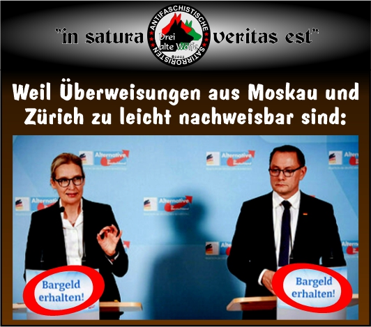 Sceadu Wolfsson - geimpft, gechipt, geboostert! (@sceaduwolfsson) on Twitter photo 