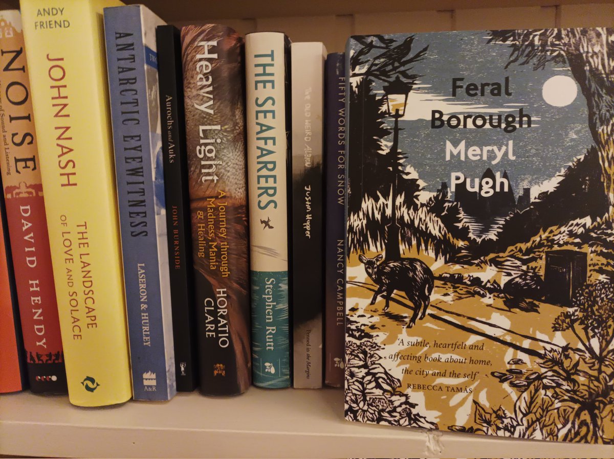 LibraryRodmell's tweet image. Feral Borough, by @merylE11, has found a home on the library shelves. What a beauty. Thank you so much for donating it, Meryl!
