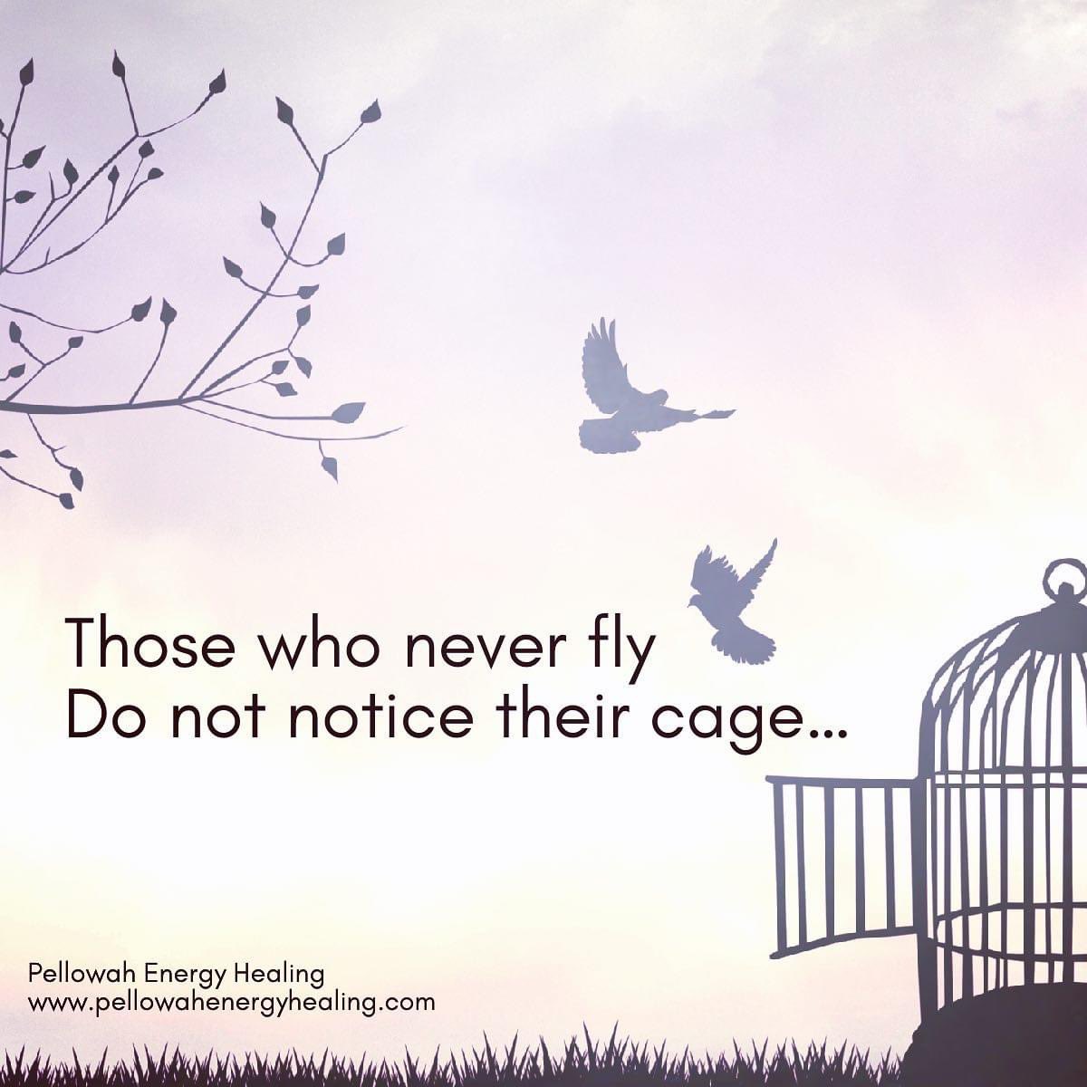 Pellowah … Do You Feel The Call #RadicalShiftInConsciousness