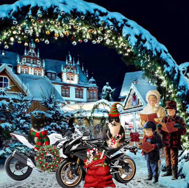 <a href="/theruffriderz/">TheRuffRiderz</a> <a href="/InfluencerBryan/">@Bryan 💜 Tinks</a> <a href="/MewsForCats/">The Daily Mews From Iceland</a> <a href="/gucci_pooh/">GucciPooh🎀🐾</a> <a href="/HarveyMagee1/">Sandy🇨🇦</a> <a href="/OscartheDog_ARM/">Oscar the Dog #ONEFORALL</a> <a href="/LJ_doodle/">Angel LJ O’Doodlebug 🏍🌈 💔Ronda</a> <a href="/basset_bella/">Angel Bella 💔🌈🐾🐶</a> <a href="/HowlinHarly/">Harly Howls</a> <a href="/ODoodles1/">ApprenticeBovverBoyyos🏍🏍</a> Tank fur welcoming uz Sophie &amp; Molly. Sophie tinks shez 👀 pretty on herz 🏍 but dat other tuxie~dat NOT Molly! 😹 Sophie wez thrilled but now shez 🤔 where IZ Molly? 🙀 Iz shez getting treats Sophie iz missing out on? #theruffriderz made😻pics w Sophie &amp; Molly B4 ride 4 them 😻