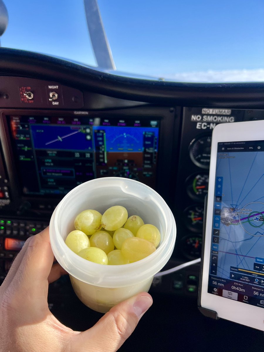 stani320's tweet photo. (Healthy) ‘crew meal’ 😜 PS. Spot the propeller behind; yet another nice shot of it 🤣) #crewmeal #grapes #avgeek #spinnersaturday #tecnam2008 #canavia #sky #foreflight #gogarmin #garminaviation https://t.co/7IMYSxCuOk