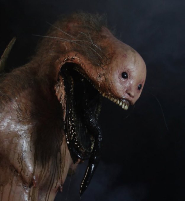 Chuparcabracore https://t.co/GLs2v9l7oA