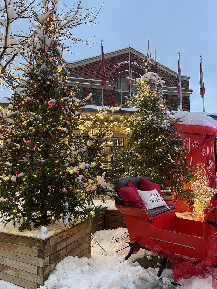 Cameron MacKay tweet media