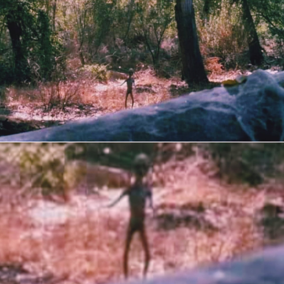 CHILE UFO tweet media