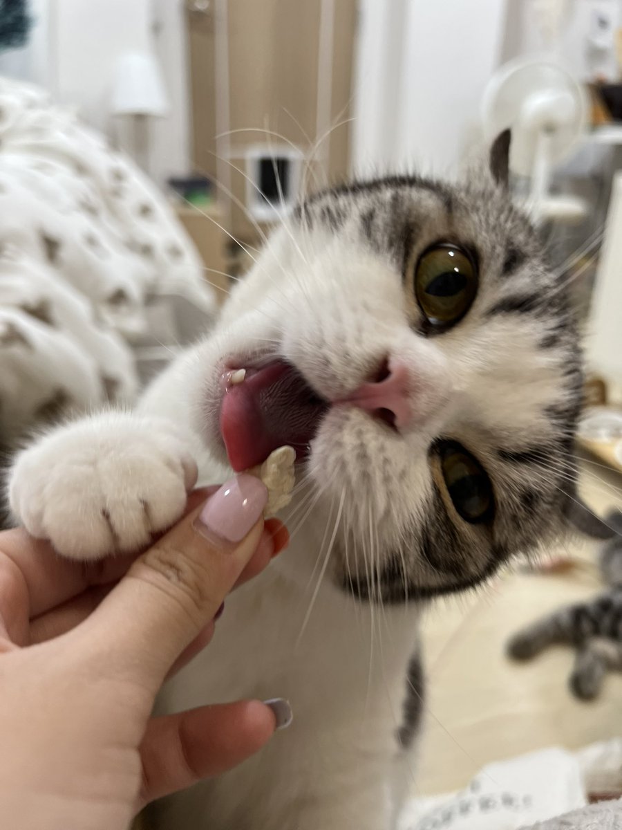 กินหนมทำไมต้องทำหูบินด้วย?