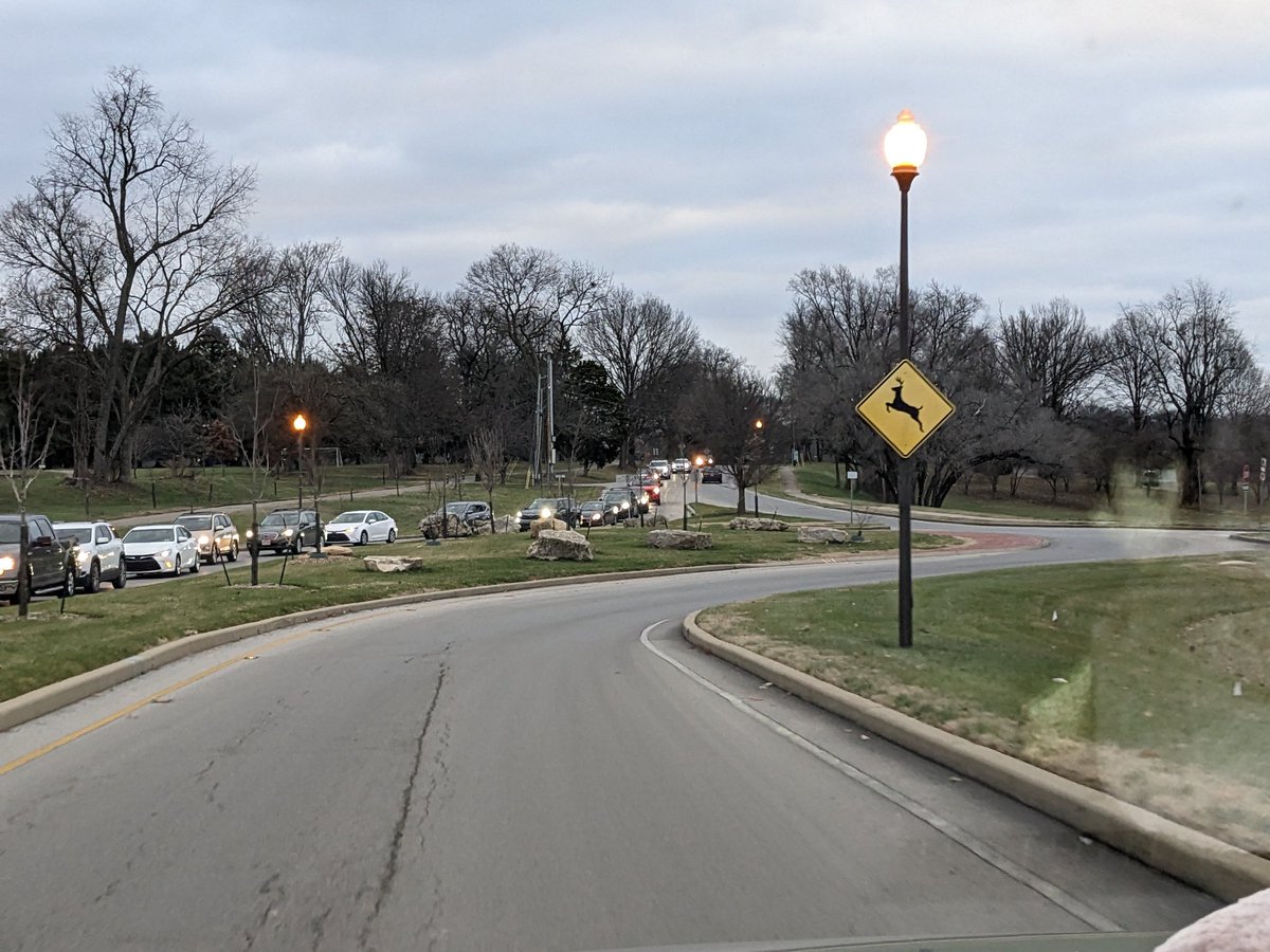 This is a line of cars in front of the zoo created by the wait to get into Lights Under Louisville. The line stretches to Poplar Level Rd then down Poplar Level and then turns left into the industrial park where the Mega Cavern is located.