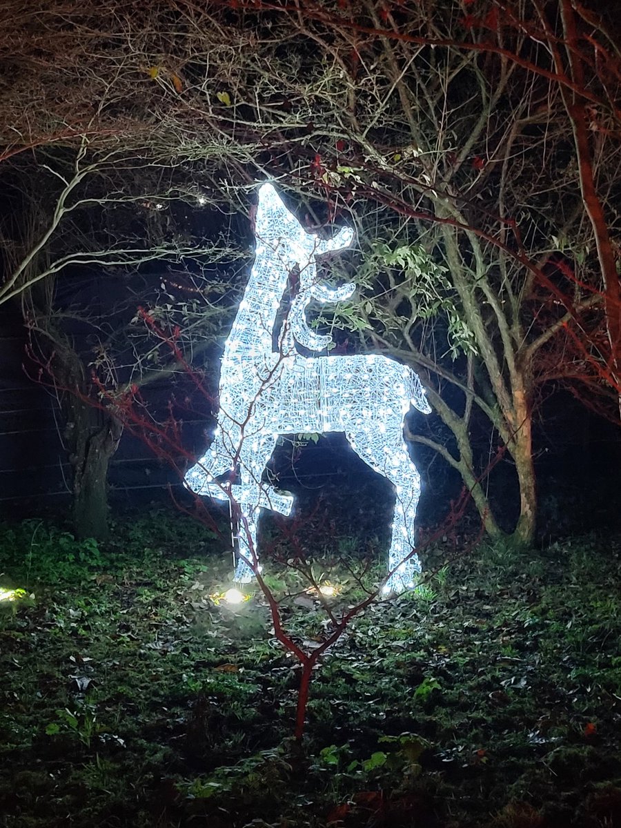 Amy Death tweet media