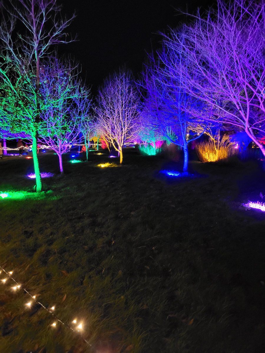 Amy Death tweet media