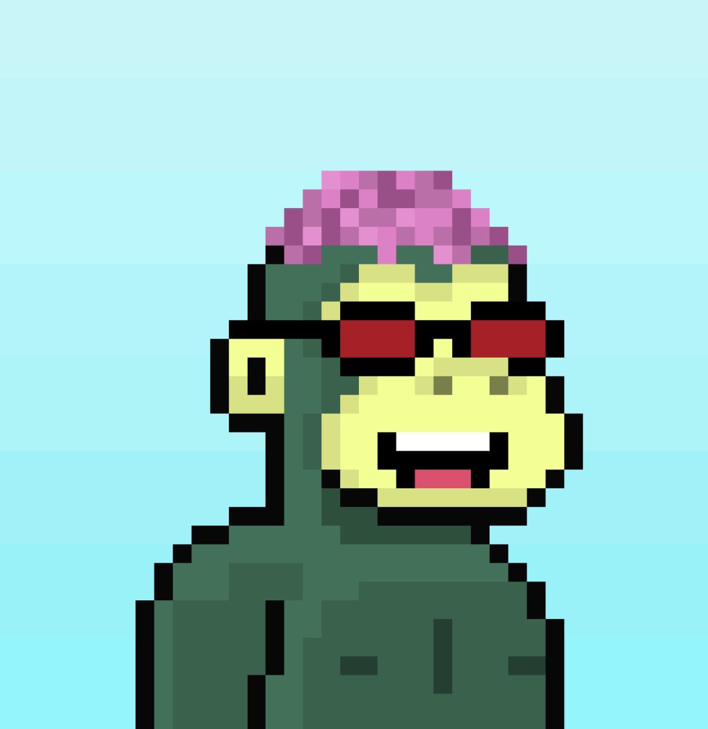 mhmtsnkl's tweet photo. @PrimapesGG @arbitrum My #smolbrain #ape #primape :) 🤏🧠🐒 https://t.co/zqFBqWp1mq