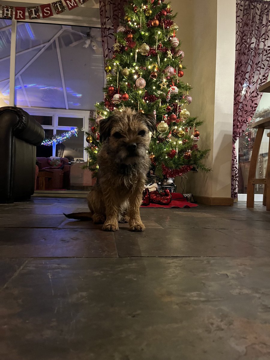 Miss Fizzy tweet media