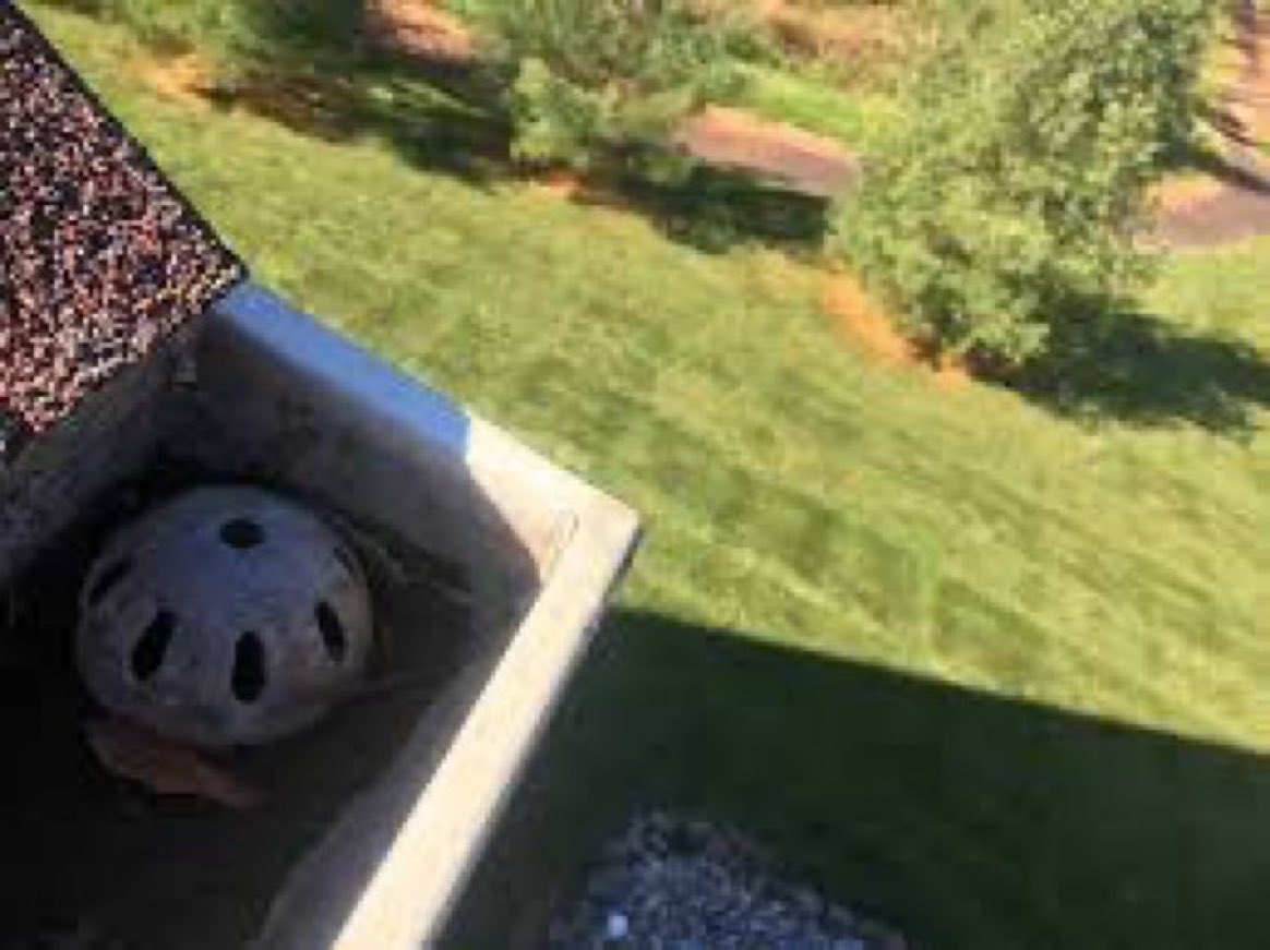 Super70sSports's tweet photo. Meet the mortal enemy of all children, the Wiffle Ball gobblin’ gutter. https://t.co/kAub8yl7lP