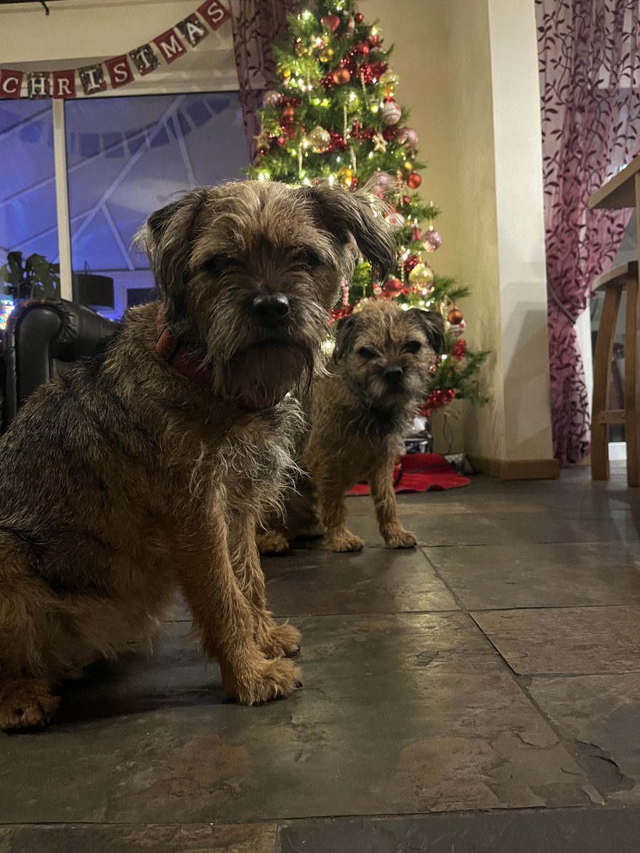 Miss Fizzy tweet media