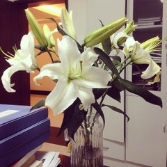 Georginguoj's tweet photo. In fact, I think lilies are more fragrant than roses. https://t.co/y6357yHjZb