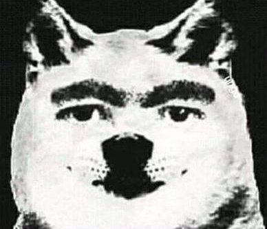 RPG30POUCOS's tweet image. Vou dar esse cachorro pra quem entrar na base