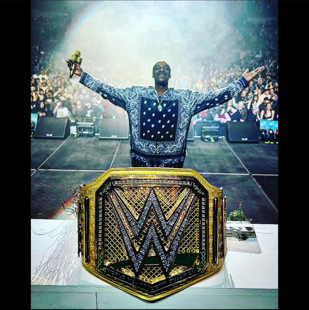 .@SnoopDogg brought his #WWEGoldenTitle on tour and now it's missing! If anybody sees it, let us know…