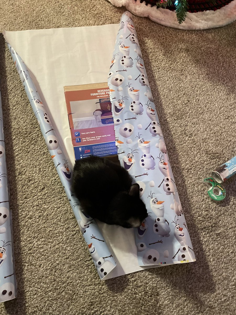 Happy #Caturday! I’m helping mommy wrap presents! She just rescued me on Wednesday! It’s my first Christmas! #CatsOfTwitter #BlackCat #catsofinstagram