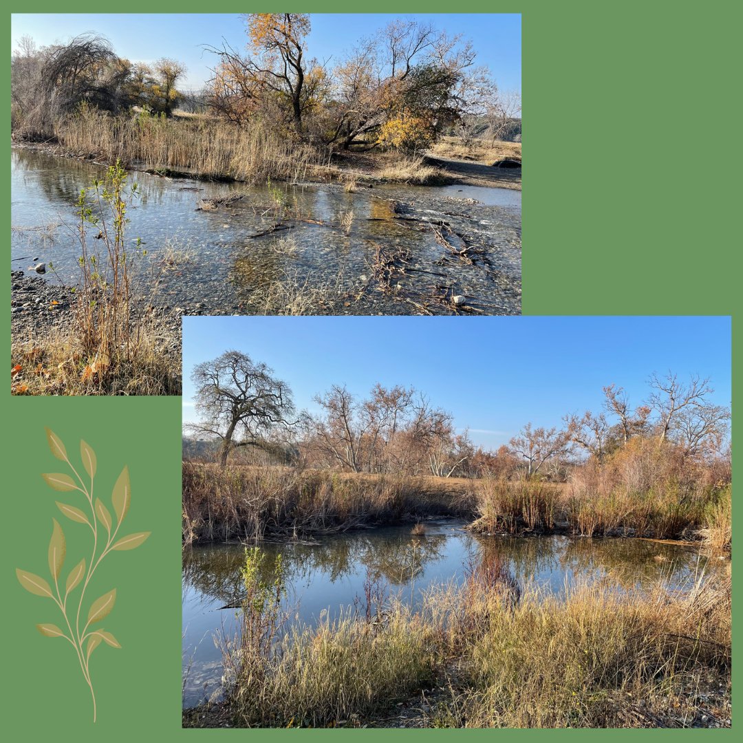 See pictures from the beautiful Sycamore Grove Park in Livermore!