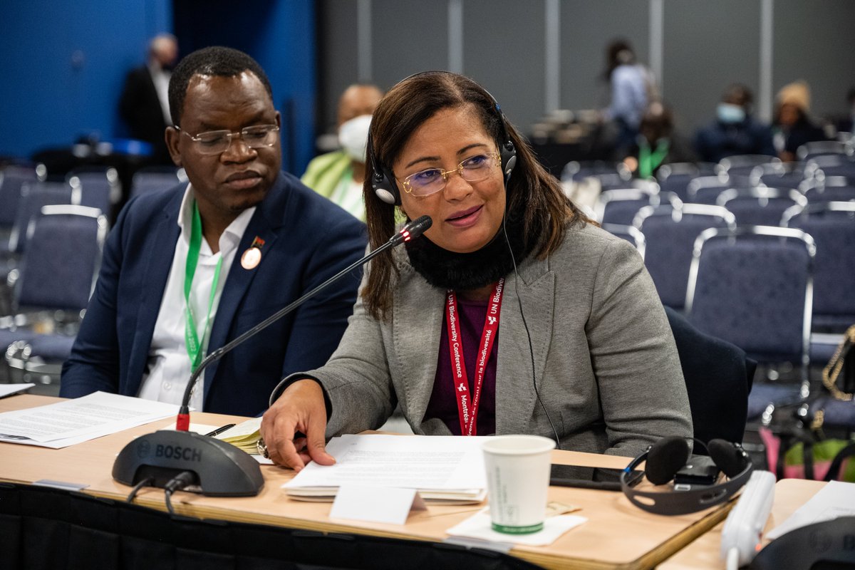 EPIAfrica's tweet photo. At #CoP15 Africa elephant countries of @EPIAfrica discuss finance &amp; human-elephant conflict. Thank you Minister de Carvalho #Angola for convening our alliance, and for African govts &amp; valued allies who attended. Now let's get the Global Biodiversity Framework over the line! https://t.co/lP2OZrBhIm