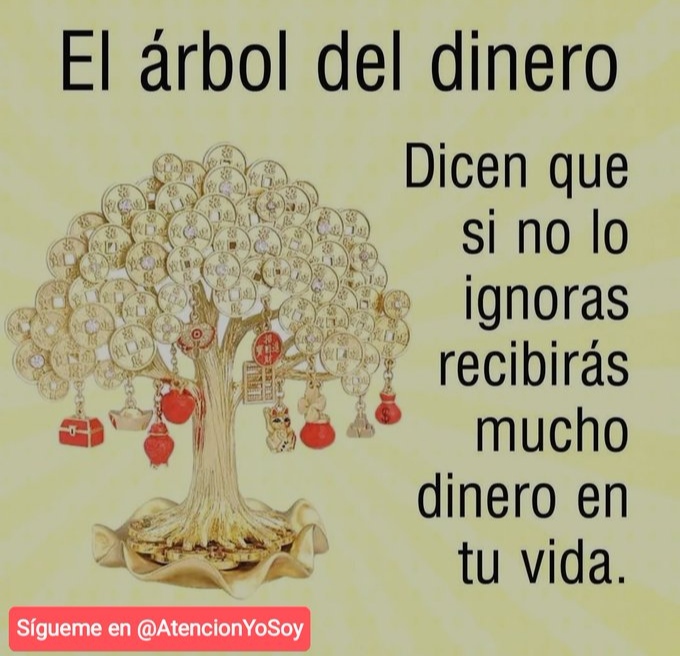 Yo Soy Atención tweet media