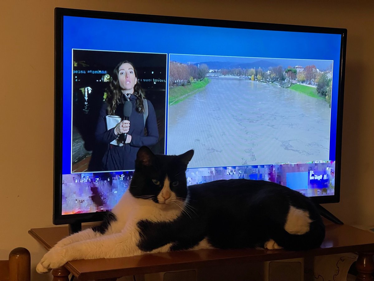 #mau è comodo danti alla #tv.