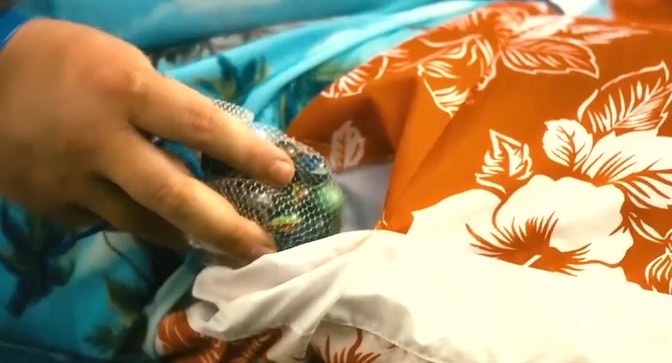 alacağım cevaptan korkmasaydım sana bir şey soracaktım