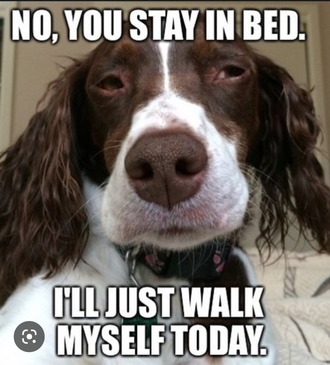 🤣🤣🤣 <a href="/grahambradley91/">Graham Bradley</a> 🐕