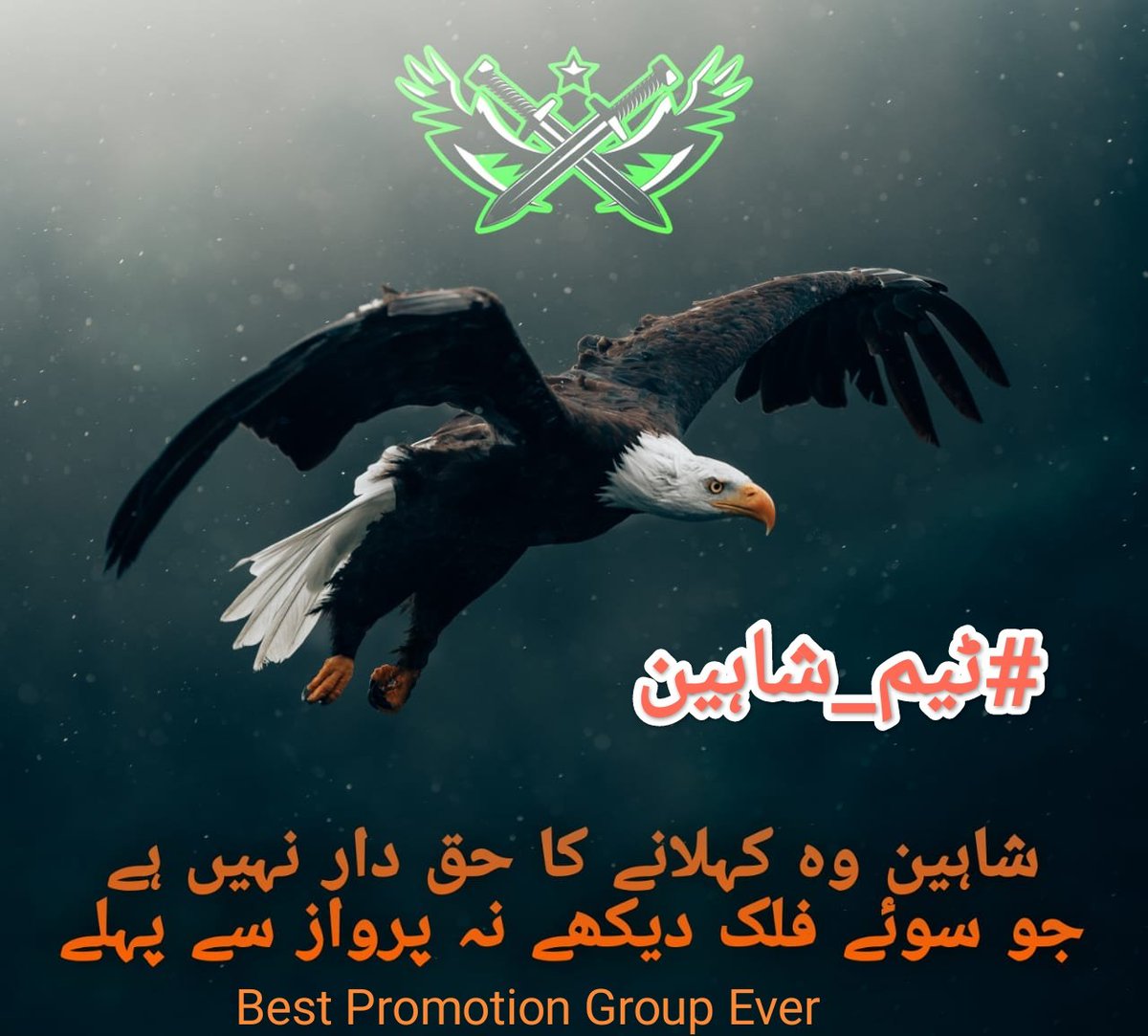 1sarz_'s tweet photo. #ٹیم_شاہین 181222
FB
Sunday🥇
€@1sarz_ @_roze9
®@_wj_d @_ge26
  
€@Qs3488 @1hp26
®@_SiMle_ @r92uf

€@dha433 @Qs358
®@1anq_1 @Afd8_

€@Ghz280  @_nb26
®@8klm_ @Yqb66
 
€@Hyder @Figh__t
®@sheraz1_ @hibba86

€@ijz99 @x0tbm
®@MK65114 @mhi2_

€@atiq0508 @SeherButt_ @farhan_u9
32 https://t.co/ttv0Gqvinb