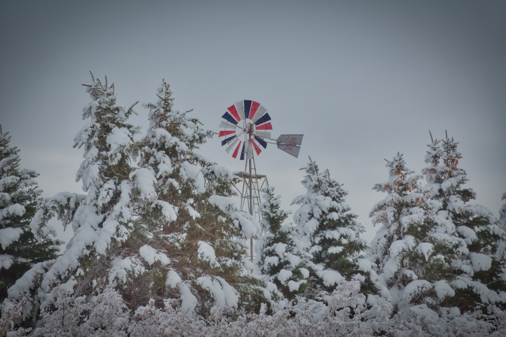 BubbaArtwork's tweet photo. Winter Windmill #winter #windmill #minnesotaphotographers #minnstagramers #justgoshoot #ruralexploring #outexploring #exploring #countryside https://t.co/a7coADBq5G